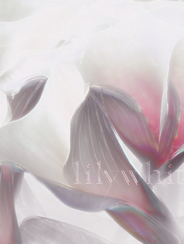 hyperlink lilywhite couvre x chefs