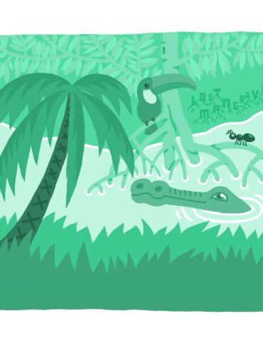 KAVAL lost mangrove couvre x chefs