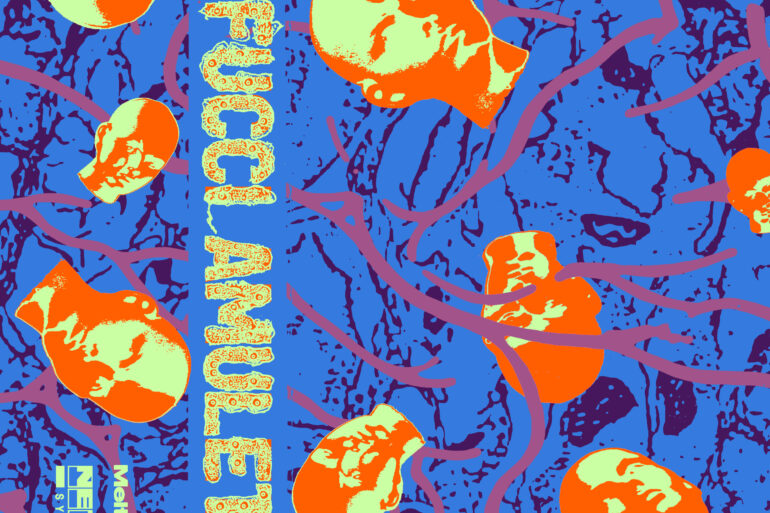 dj fucci netter system couvre x chefs