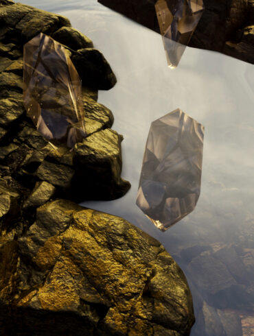 syntrovert loreto dmnc discos pegaos couvre x chefs 5