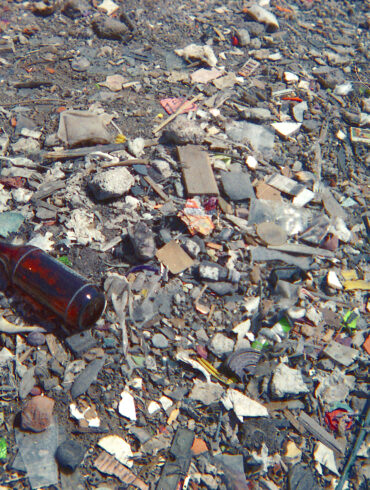 siete catorce cruda subreal couvre x chefs.jpg