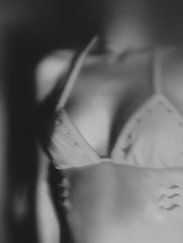 Slic Animal Couvre x Chefs