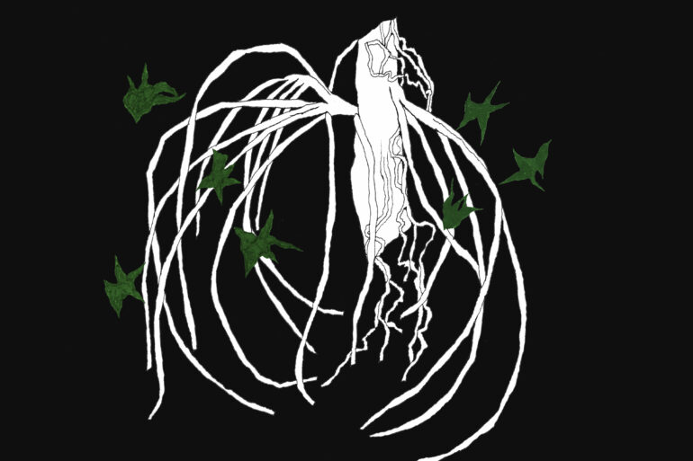 M NEW ME NOAH WINGREN Unguarded Couvre x Chefs