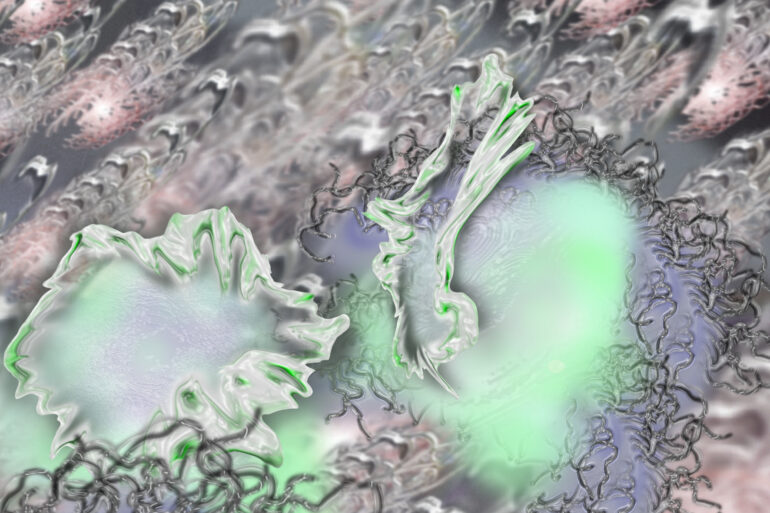 Toumba and Duswunder - Fawda - Caninal Recs - Couvre x Chefs