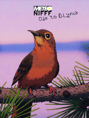 meteo nifff David Lynch Mysthy Couvre x Chefs