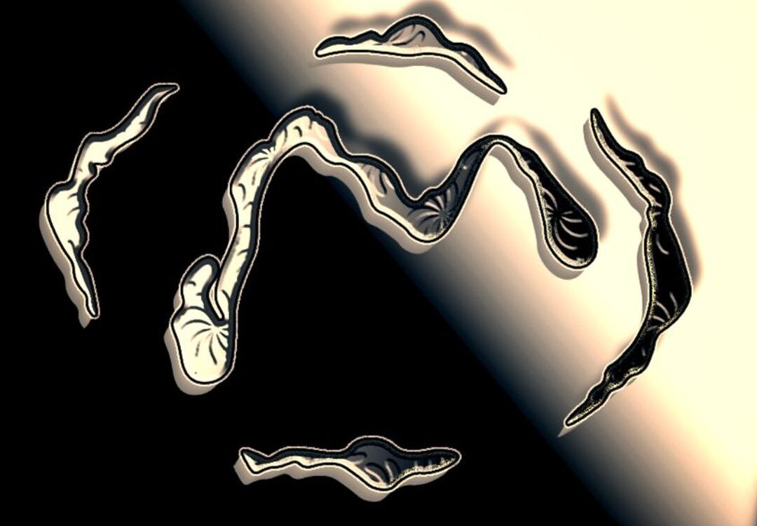 ELCA - Found You In Falkreath Couvre x Chefs