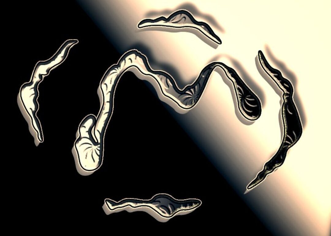 ELCA - Found You In Falkreath Couvre x Chefs