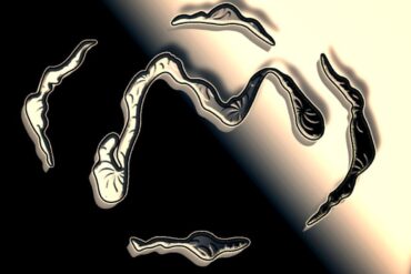 ELCA - Found You In Falkreath Couvre x Chefs