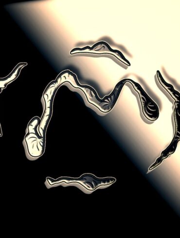 ELCA - Found You In Falkreath Couvre x Chefs